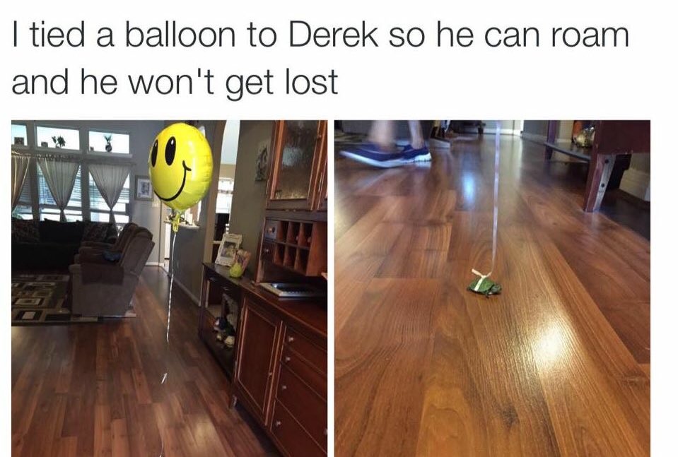 beensiked's tweet photo. never lose your turtle again #turtleproblems https://t.co/DKRk53IuIj