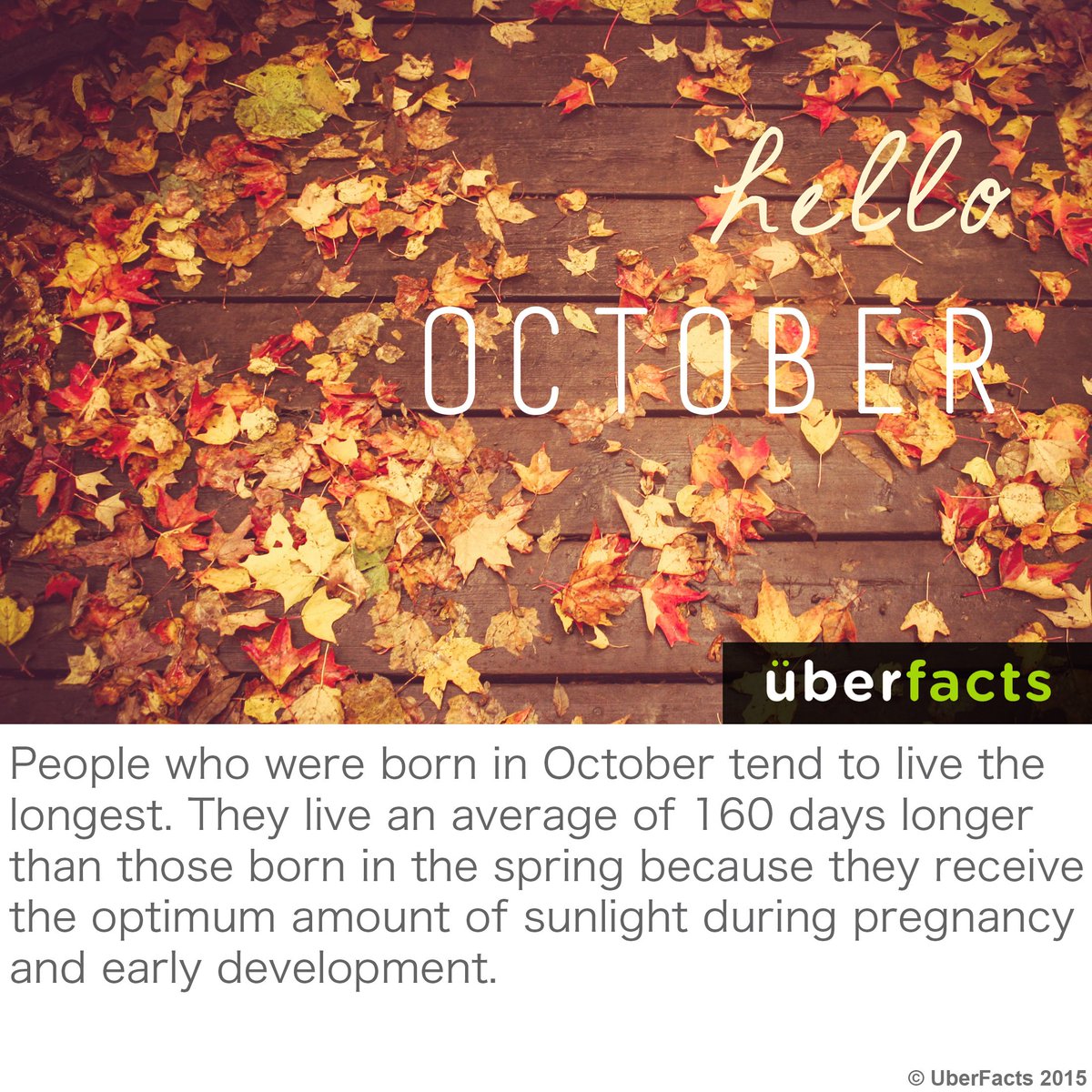 UberFacts's tweet photo. Who's an October baby? https://t.co/oTgytlA3Zl