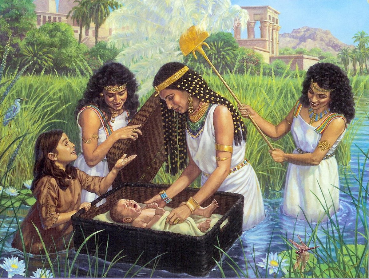 10mosmandments's tweet photo. #tbt from when i was born @aramnarine2019 remember? #jhp8 https://t.co/DsS88MfqAn