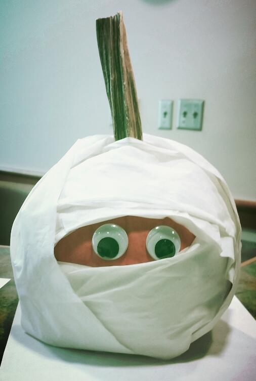 UMDSmithEvents's tweet photo. Come on up to 4570 and VOTE for YOUR favorite pumpkin!! #DAR  #SmithEvents @pumpkincontest @SmithSchool https://t.co/xkVBmJAI3Y