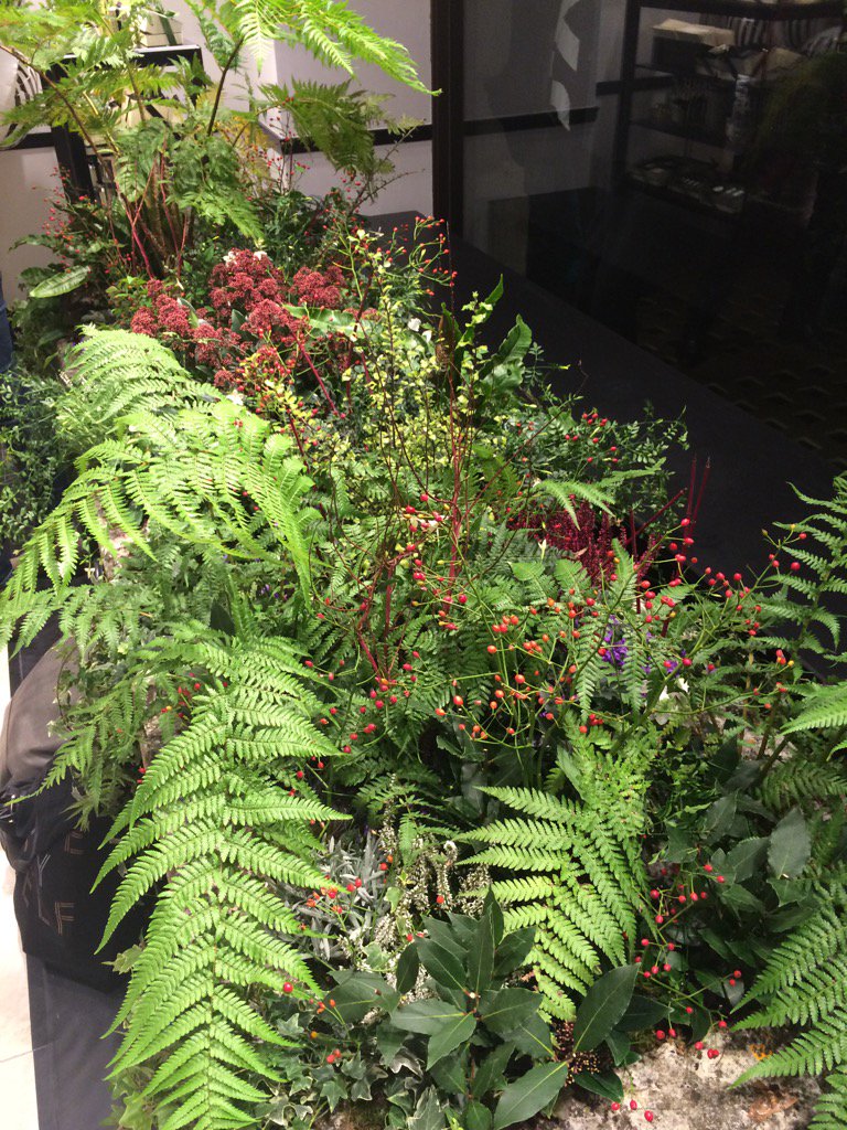 Worth popping into the new <a href="/JoMaloneLondon/">Jo Malone London</a> regent street store for the fauna alone #HELLOJML