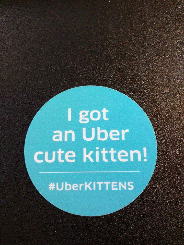#UberKITTENS 
San Diego