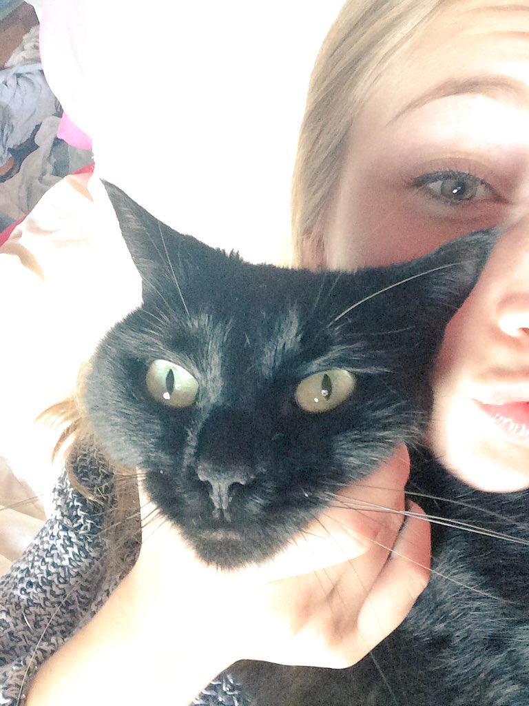 florencedulude's tweet photo. je me demande pourquoi elle fait des yeux fachés #NationalCatDay https://t.co/aa0Ps46RZS