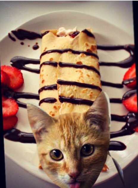 craycraycrepes's tweet image. Happy international cat day! Get in muh belly #tbt #crepe #NationalCatDay
