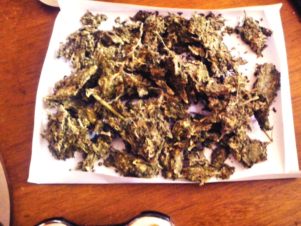 Doctormariguas's tweet photo. #afumar #holahijosdeperra #saquen https://t.co/N3GBh3ikzp