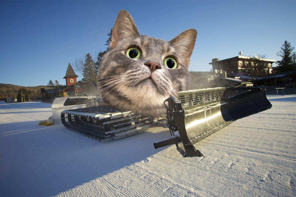 Happy National Cat Day! We love our snowcats. #mountsnow