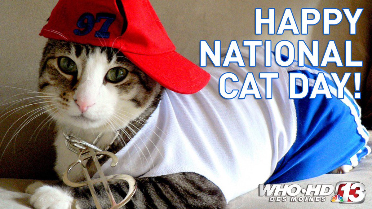WHO13news's tweet photo. Happy National Cat Day! It's a purrfect day to take a "paws" and appreciate our feline friends. #NationalCatDay https://t.co/JXCFSLTPiy