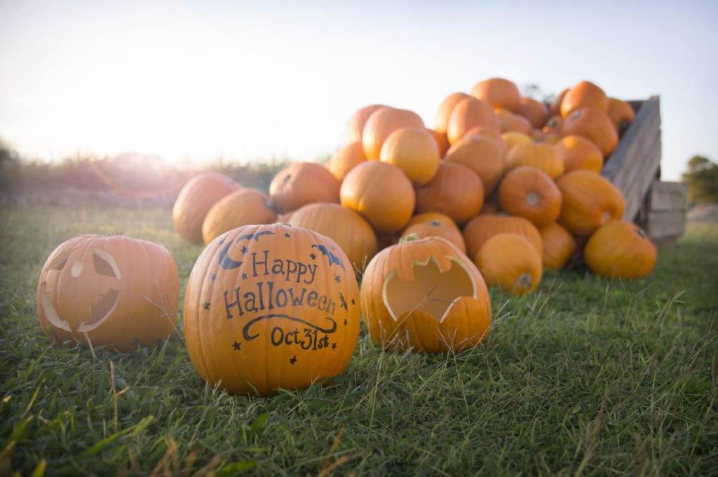 PerthNowLocal's tweet image. Will you be taking part in #Halloween festivities tonight?

bit.ly/1MY6uF5