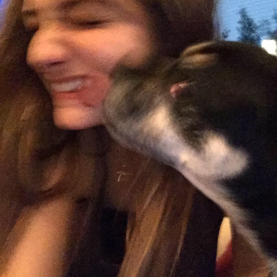 dogsofheritage's tweet photo. riley and bella are the perfect duo 🐶🙆🏻😍 https://t.co/Ww75i72vds
