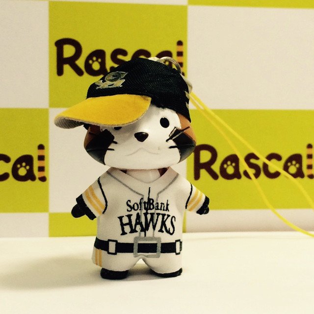 Rascal_tweet's tweet photo. ラスカル選手、今の気持ちを一言！
「博多ラーメンたべたいミャ」

ソフトバンクホークス優勝おめでとミャ(◆╹◡╹◆) https://t.co/fUUVUanLlJ
