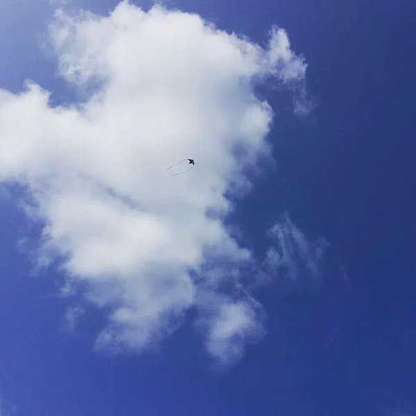 NUEST_Mexico's tweet photo. [29.10.15 | BAEKSTAGRAM] Estoy volando un cometa #VolandoCometa Cr: realbaekho | NUESTranslation https://t.co/BACmfIuUQL