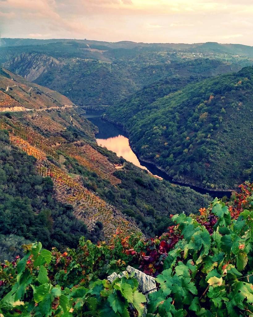elfrau's tweet photo. Cañones del Sil. A un lado Lugo y al otro Ourense.
#lugo #galicia #galiciacalidade #galif… https://t.co/c2xm38n9Uk https://t.co/bOEZCYFDjW
