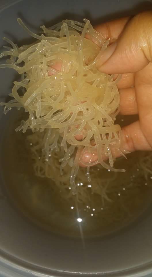 locksofapoet's tweet image. 