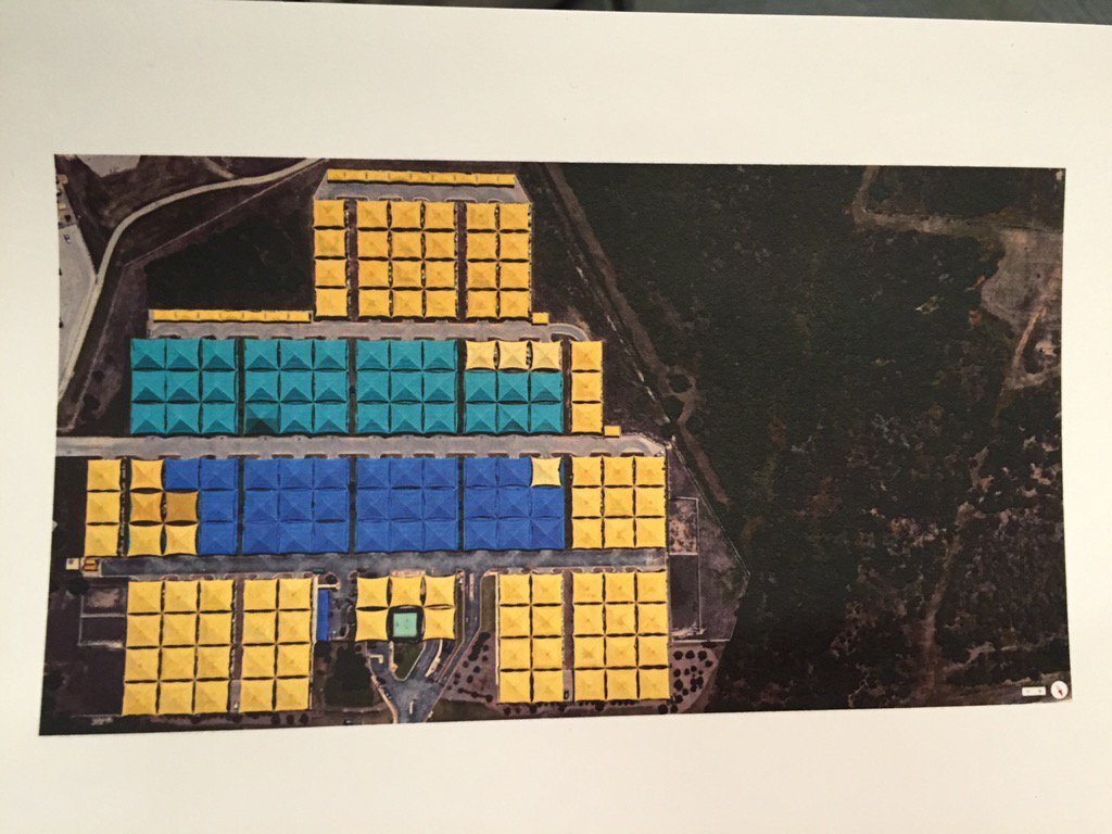 Megan Lane tweet media