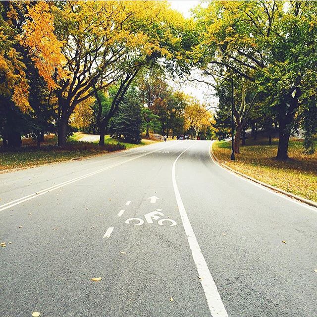 FieldsChicken's tweet photo. Deep within the concrete jungle, there are sanctuaries... 📷 @fieldfailing #explorenyc #centralpark #followfield https://t.co/SwnNVhgUgx