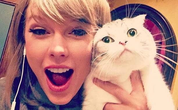 EW's tweet photo. Like @TaylorSwift13 was going to let #NationalCatDay go by without posting a cat photo: https://t.co/zq4XAtisO5 https://t.co/gpFhlTog1L