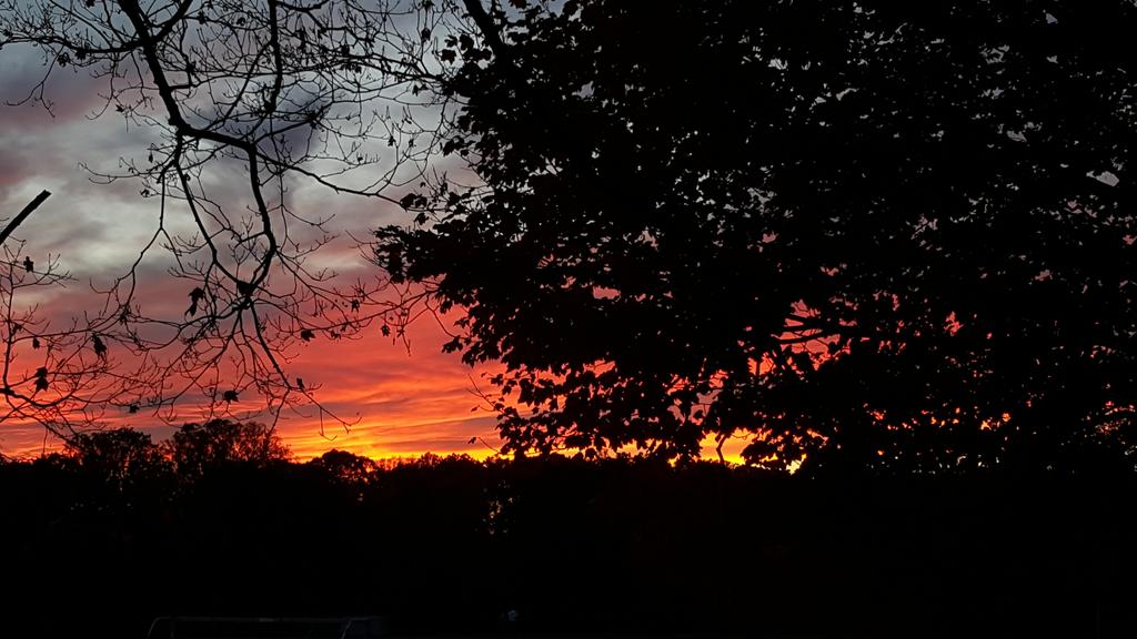 HewsonSally's tweet photo. Fall Sunset in Towson @evilottos https://t.co/ucRClOcXF3