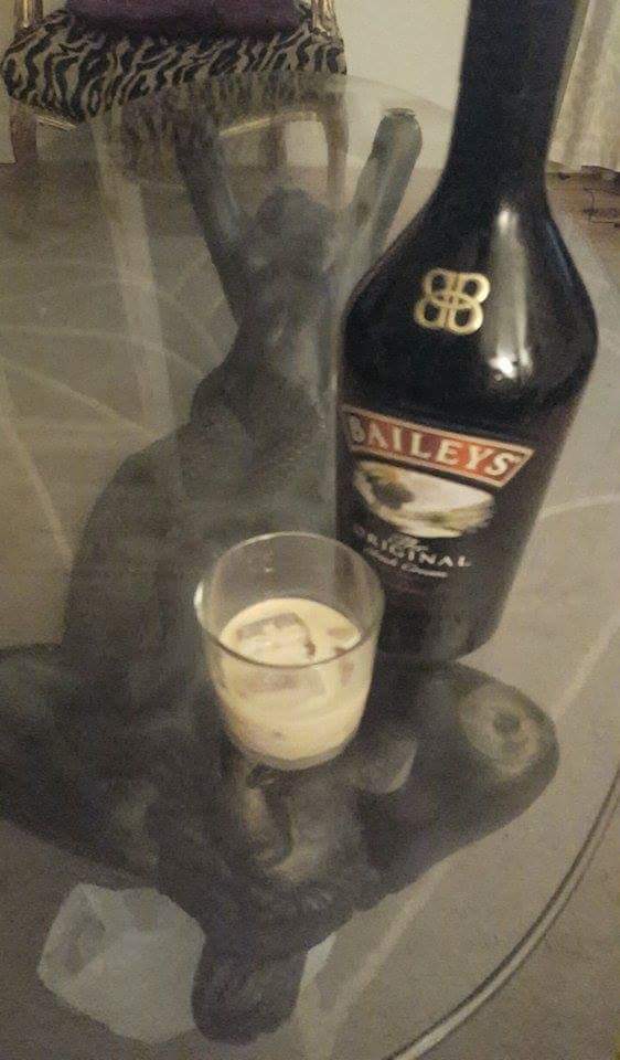 carouselfest's tweet photo. Relaxing in style before the madness... https://t.co/8c3ITcT7m7