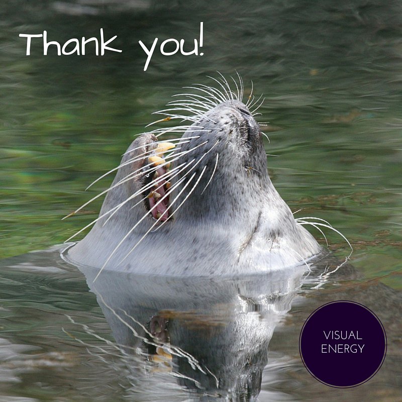 visual_energy's tweet photo. Hi to our new #followers! Looking forward to reading all your #tweets! #hellotweets #socialmedia #seo #digital https://t.co/TXwLewebwJ