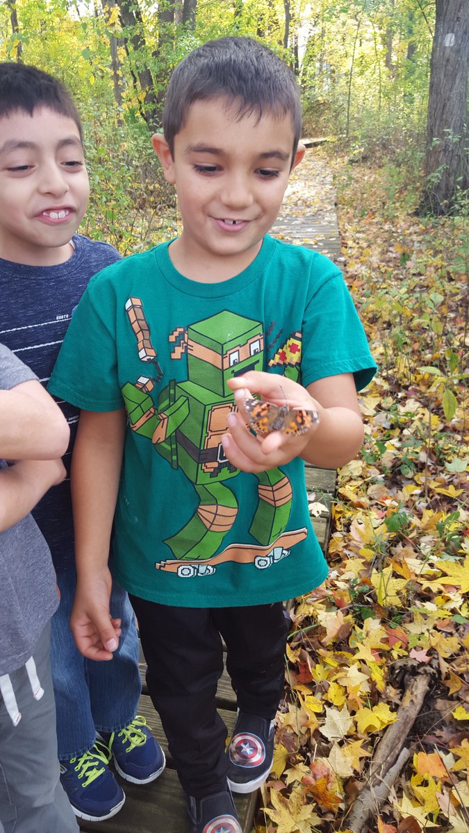 brightideas2by2's tweet photo. Butterfly release moments #stuckonus #paintedlady #flytofreedom https://t.co/t4VMrbEjww