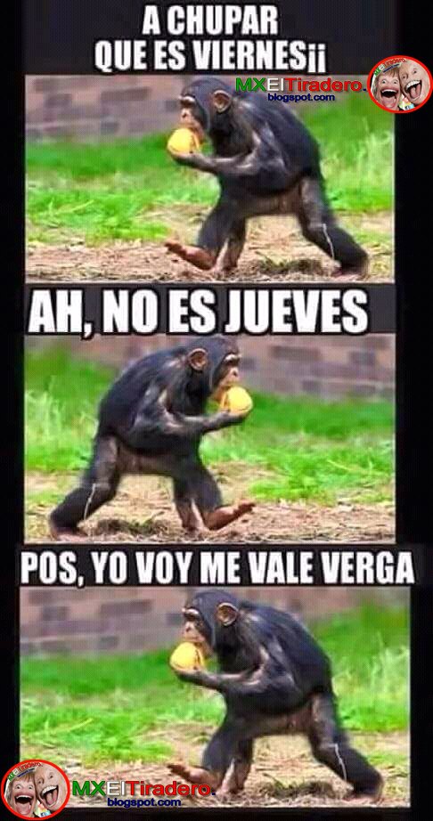 Pues ya que jajajaja