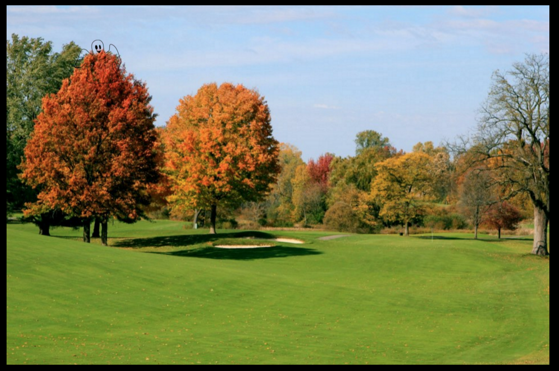 Walnuthillsgc's tweet photo. Walnut is over 90 years old which means we get the occasional #ghost haunting our course. Can you see any? https://t.co/Q9ARvH6Vmh