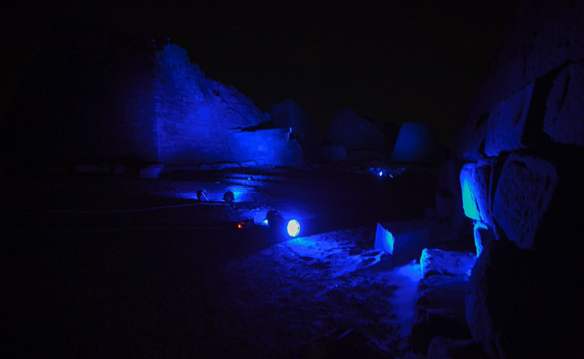 United Nations tweet media