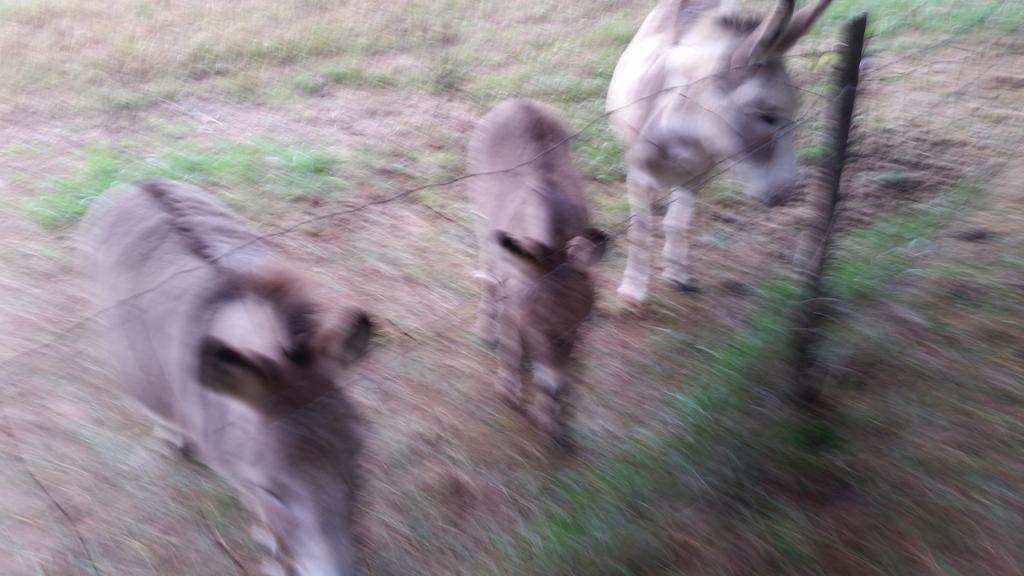 FainKenneth's tweet image. 