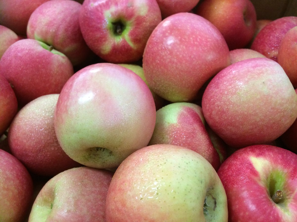 CompDiningNC's tweet photo. What goes better with cheese than #GotToBeNC  Pink Lady and HoneyCrisp Apples from #PerryLowe Orchards https://t.co/UHhKlkZRVd