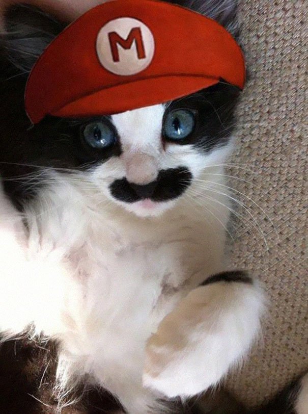HBudapets's tweet photo. ¿Listos para Halloween? https://t.co/ZGbLA7LHZx