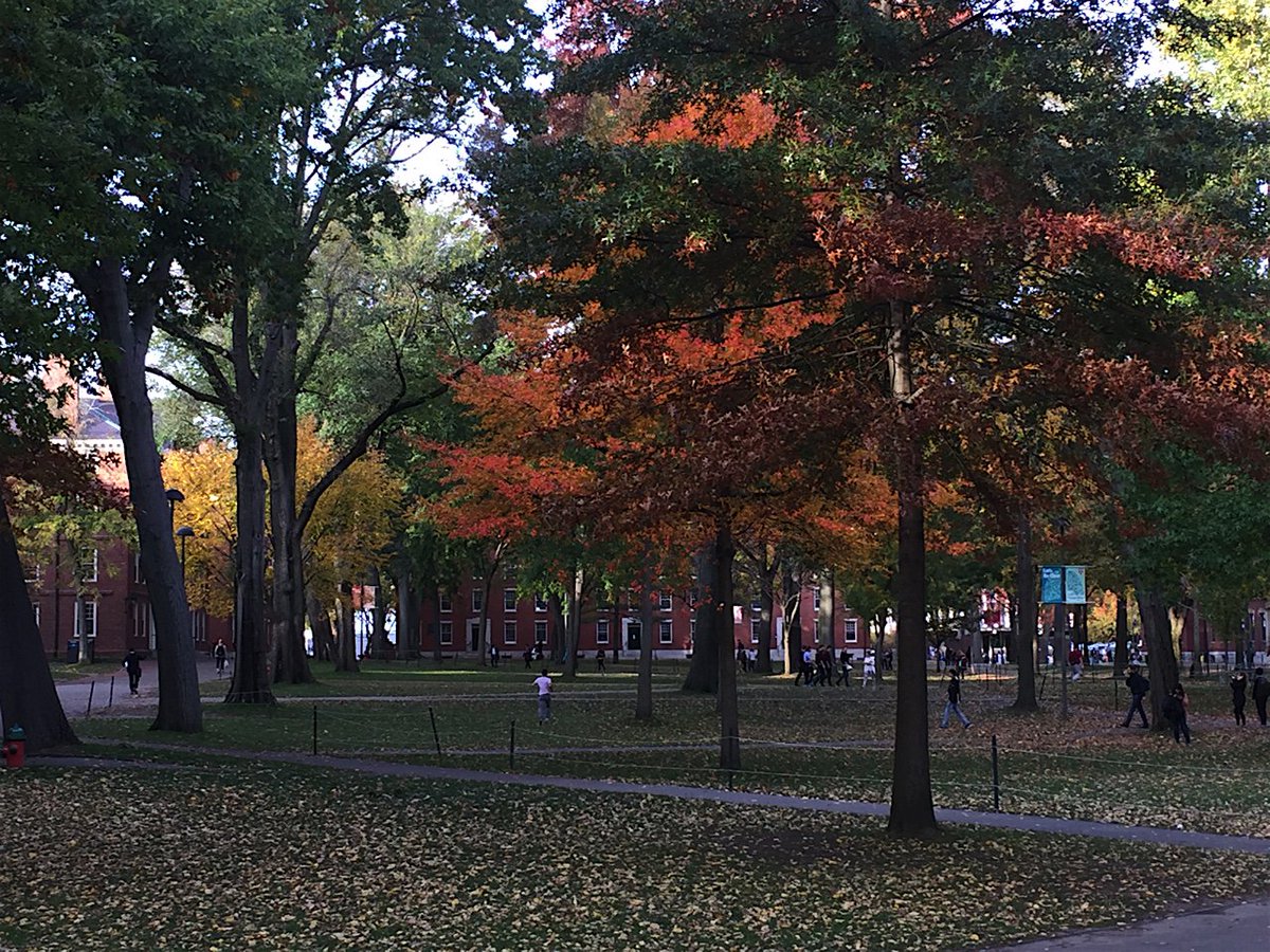 gregorprosen's tweet photo. #Boston #Harvard #juststrolling https://t.co/OlFgOCmPdM