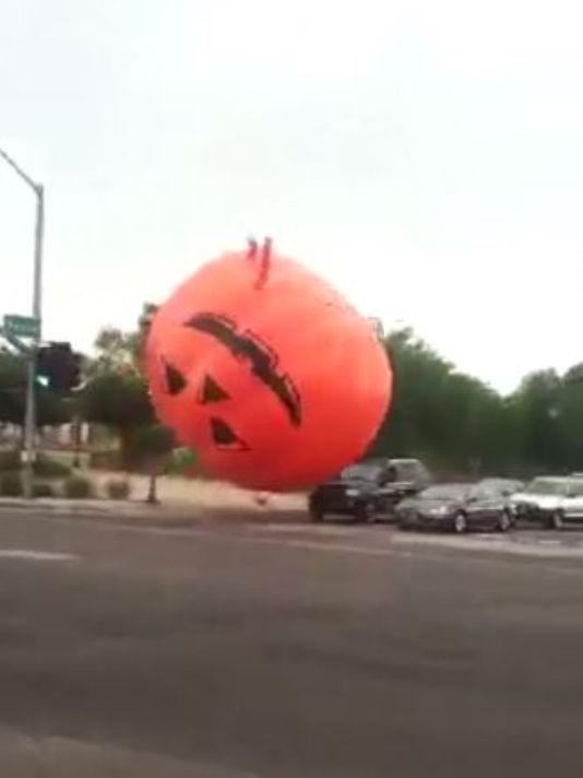 There's a pumpkin on the loose... Charlie Brown!  #OnlyInArizona 12news.com/story/news/loc…