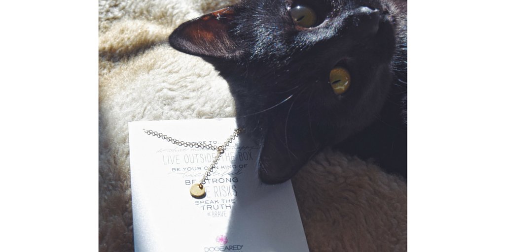 DogearedJewelry's tweet image. celebrate if you dare... #NationalCatDay