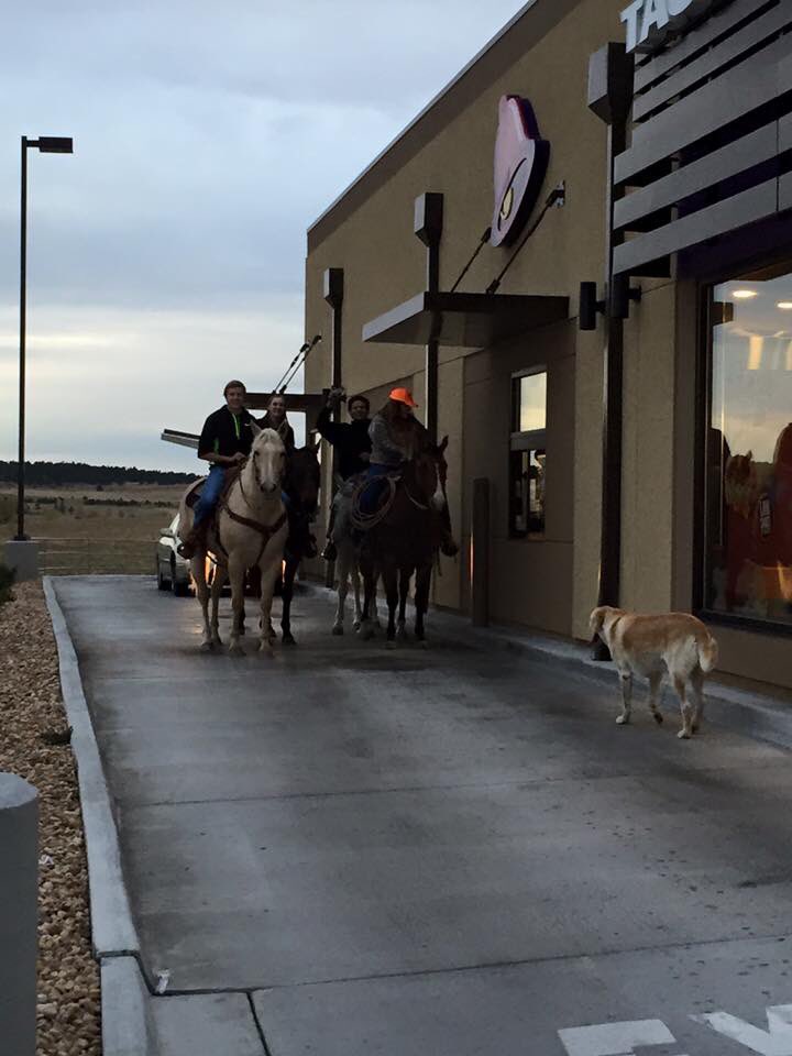 kristal_wyatt's tweet photo. This is what happens in small country towns!! #elizabethcolorado #whereisthedrinkholder #whoholdsthetacos https://t.co/SWpketEm5e