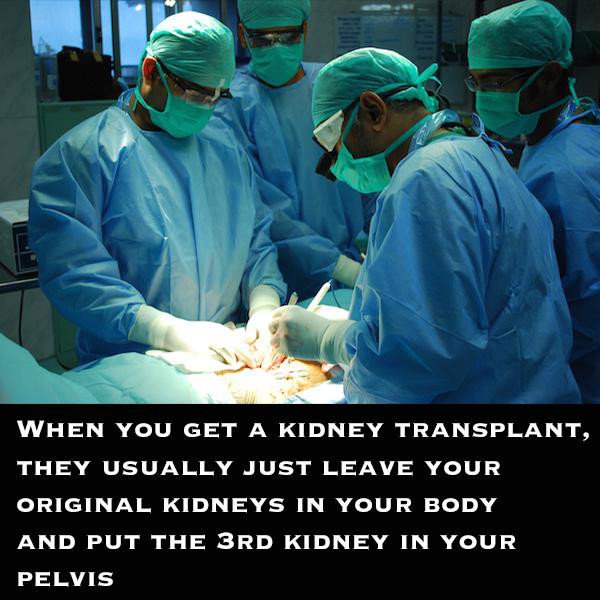 strangefacts34's tweet photo. What?! https://t.co/MebpXteBJg