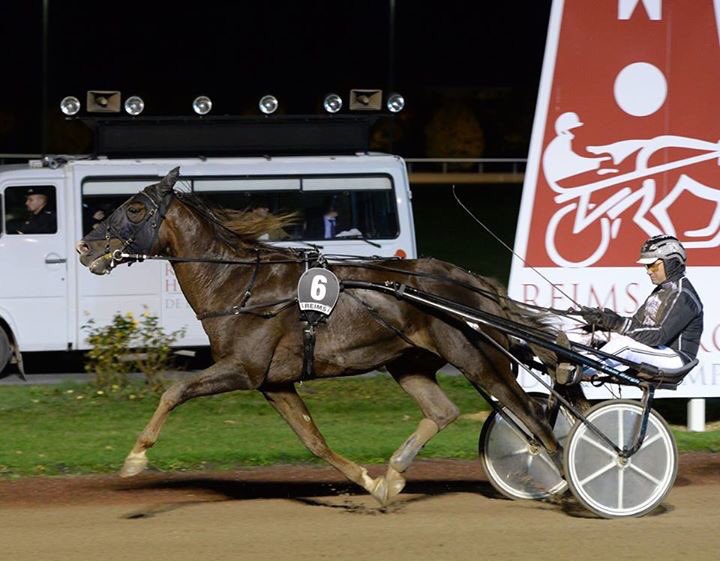montdore Winner in Reims !!