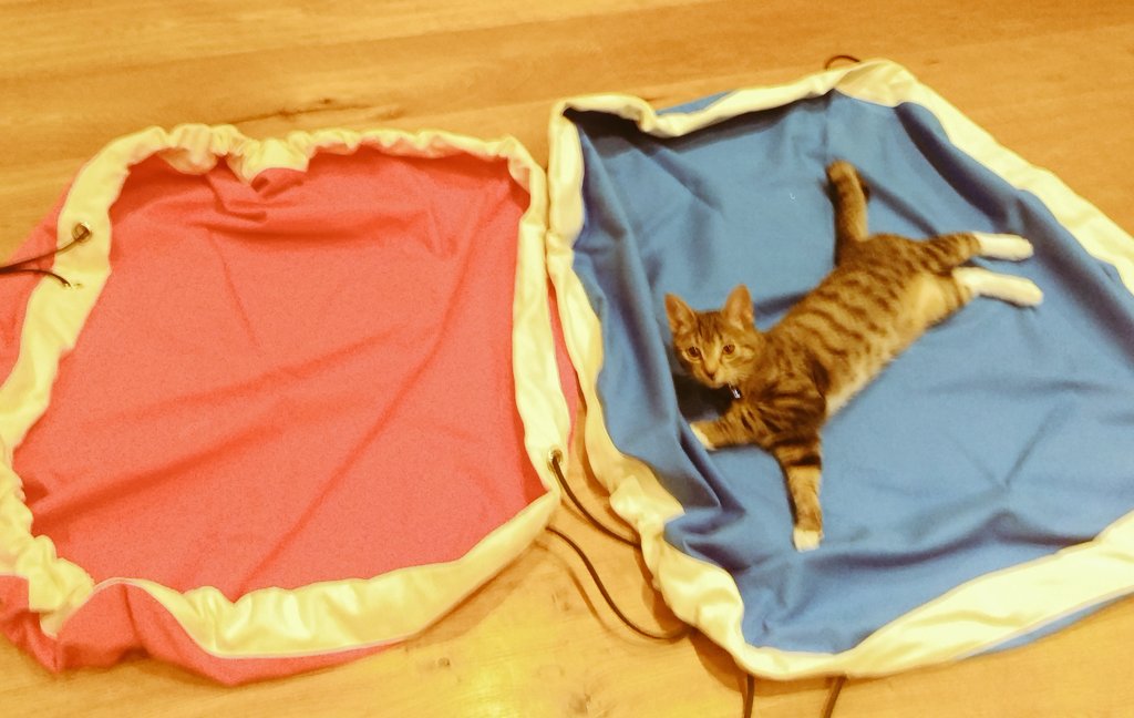 Samples approved on #nationalcatday!