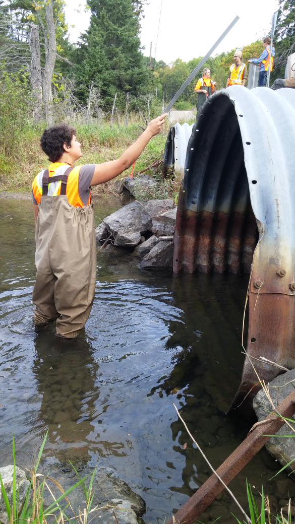 Korodinator's tweet photo. #fieldcamp2015 @SaultCollege https://t.co/c07l3q7dYK