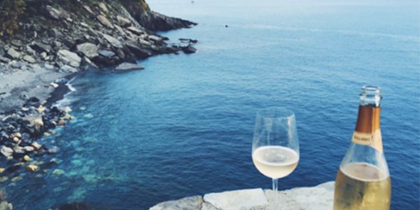 10 Wine IG accounts you should follow! (continued) <a href="/LaFemmeEpicure/">Sarah Simms</a> <a href="/wincwine/">☾</a> @rebelwine ow.ly/U11Nd