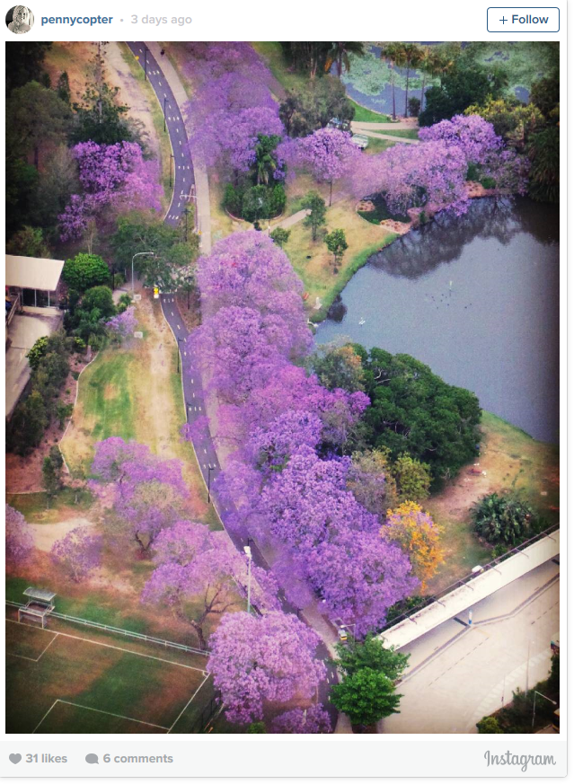 UQ_News's tweet photo. Good luck to all #UQ students for your final day of Semester, and for the next step in your journey. #UQpurple. https://t.co/3bMgH8KU88