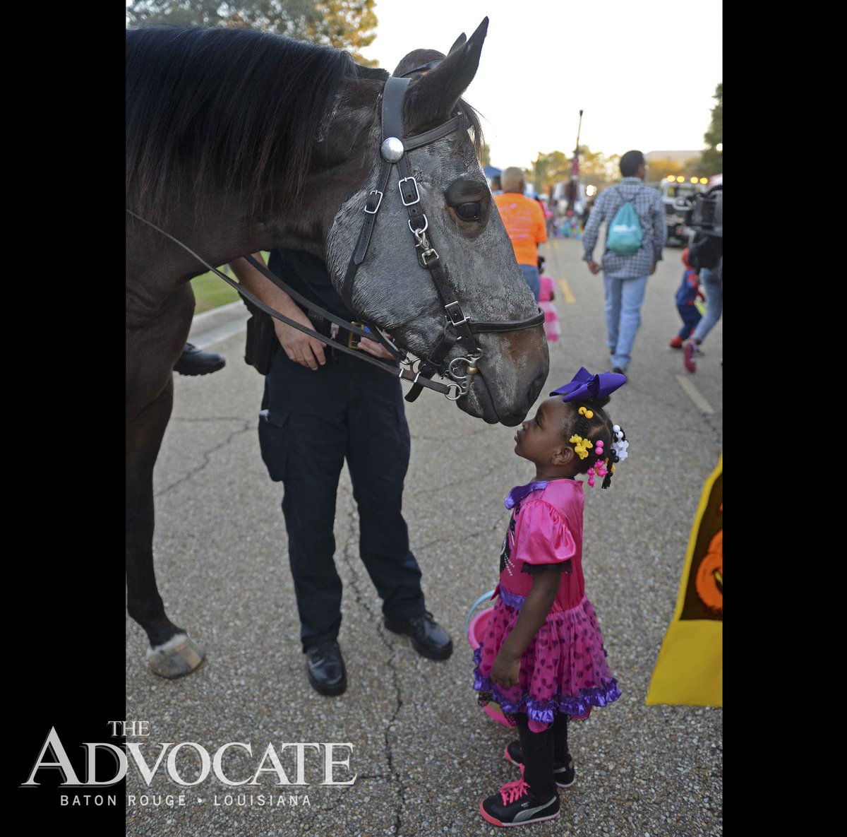 hscheinukphoto's tweet photo. This little girl came nose to nose with Jackie, one of @BRPDs mounts, during #BooWithTheBlue tonight @theadvocatebr https://t.co/5T6ruXidx5