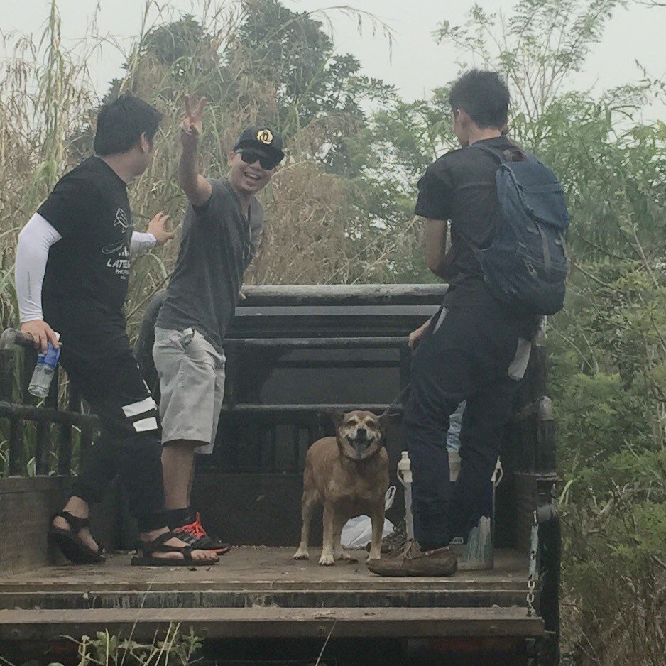 coffeewanita's tweet photo. #Daisy #dogsofcoffee #Simalungun #limaputri happy girl, she's always smiling https://t.co/rFBd2ofBUX