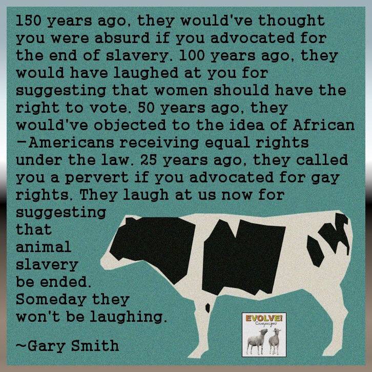 lisaelyea's tweet photo. @ARCrusade #AnimalRights #FactoryFarms #TorturingAnimals
#AnimalCruelty https://t.co/45uhcq16n2