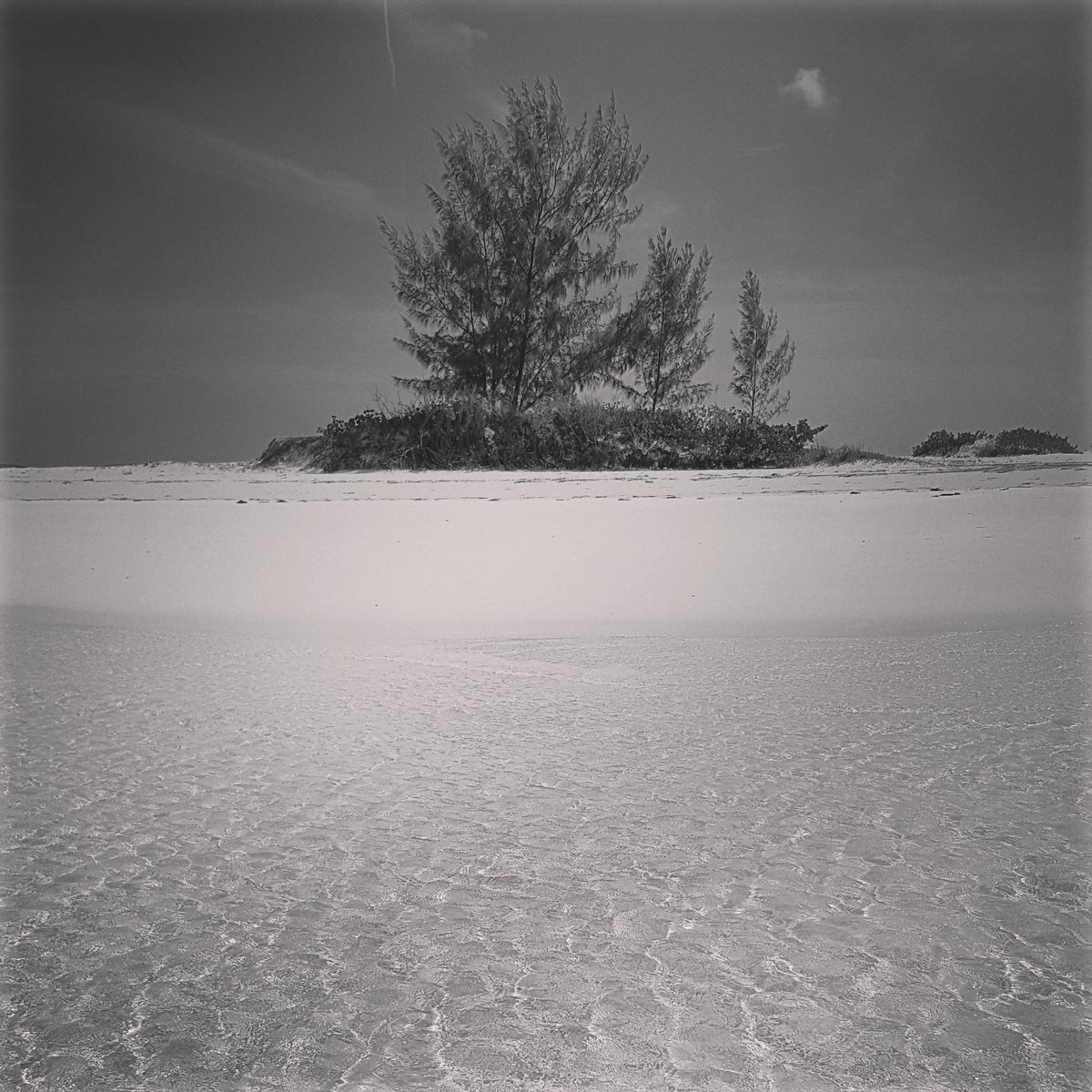 storyinframes's tweet image. One of the last surviving paradise on earth. Nightmare for navigators. #reefs #sandbars #corals