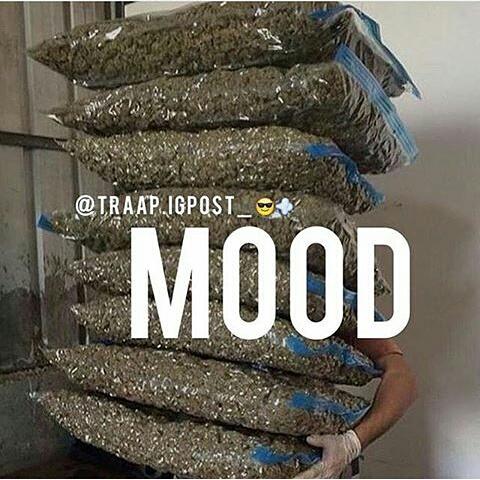 king_posto_'s tweet photo. I fell in love with the doddey 😍💍🌎⛽💨 https://t.co/iCbrn7qUhW