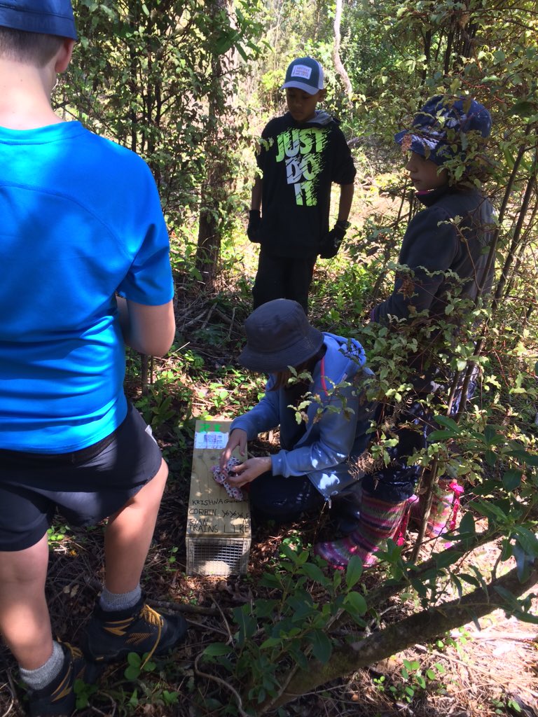 Tauhara_College's tweet photo. Our Kaumatua blesses Oruatua site 4 today's hardwork! @keithbuntting #Hilltop_weedbusters https://t.co/wLQyItQIw0