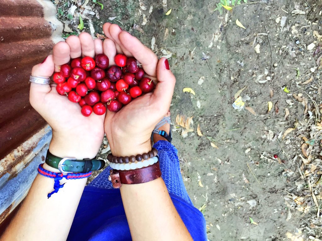 when in Haiti, eat fresh cherries 🍒