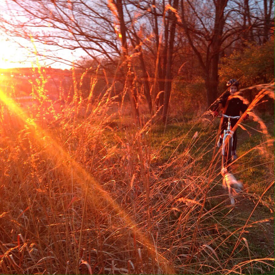 knbrkr's tweet photo. #mtbsingletrack trails inspection with #lightbro #mtbkid #mtbdog and #nofilterneeded https://t.co/sq5IferLcV