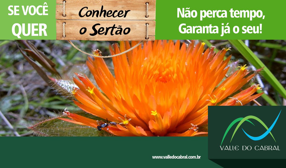 ValleCabral's tweet photo. #Cachoeiras #rios #ecoturismo #pescaria #condominio #corinto #augustodelima #ValledoCabral #VouproValle https://t.co/IwImu6Yg0G
