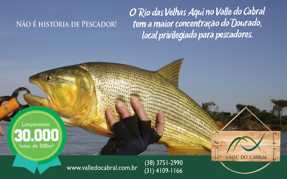 ValleCabral's tweet photo. #Cachoeiras #rios #ecoturismo #pescaria #condominio #corinto #augustodelima #ValledoCabral #VouproValle https://t.co/64f3rMfCGK